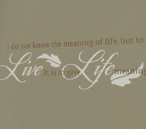 I do not know the meaning of life Wall Decal