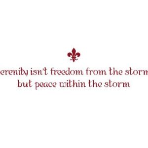 Serenity Isn't Freedom from the Storm Wall Decal