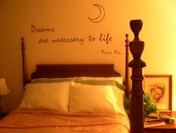 Dreams are necessary to Life - A bedroom wall decal above the master's bed and in-between the bed posts.