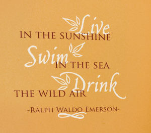 Live in the Sunshine Swim in the Sea Wall Decal
