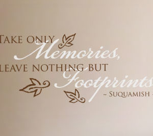 Take Only Memories, Leave Nothing but Footprints. Wall Decal