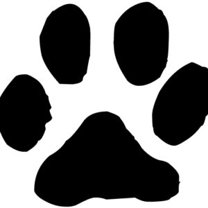 Cat Pawprint Lettering Art 15 1 Wall Decal
