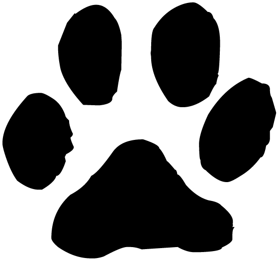 Cat Pawprint Lettering Art 15 1 Wall Decal