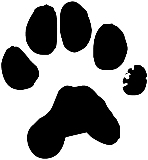 Dog Pawprint Lettering Art 15 0 Wall Decal