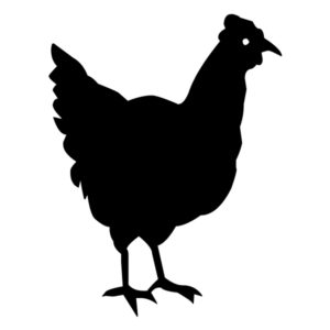 Hen A LAK 30-0 Farm Wall Decal