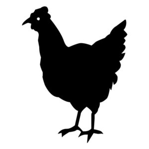 Hen B LAK 30-1 Farm Wall Decal