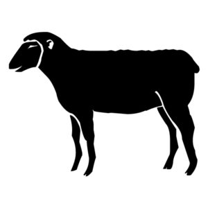 Lamb B LAK 30-9 Farm Wall Decal