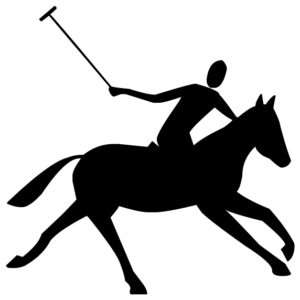 Polo A LAK 10-6 Horse Wall Decal