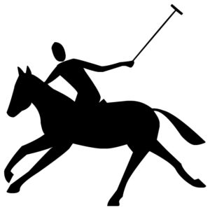 Polo B LAK 10-7 Horse Wall Decal