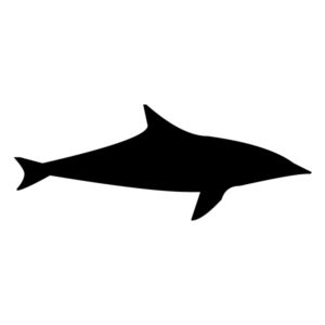 Shark Silhouette A LAK 1-0 Nautical Wall Decal