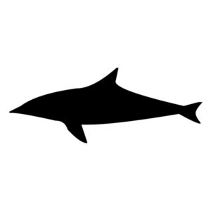 Shark Silhouette B LAK 1-1 Nautical Wall Decal