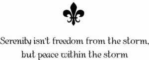 Serenity isn't freedome fromt he storm, but peace within the storm