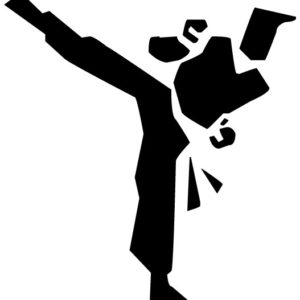 Martial Artist A LAK 2 2 g Sports Wall Decal