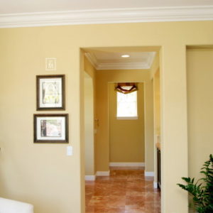 Signet Classic Monogram Wall Decal