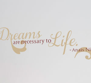Dreams are necessary Wall Decal