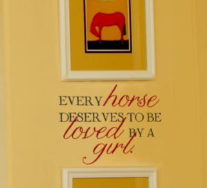Every horse deserves Wall Decal